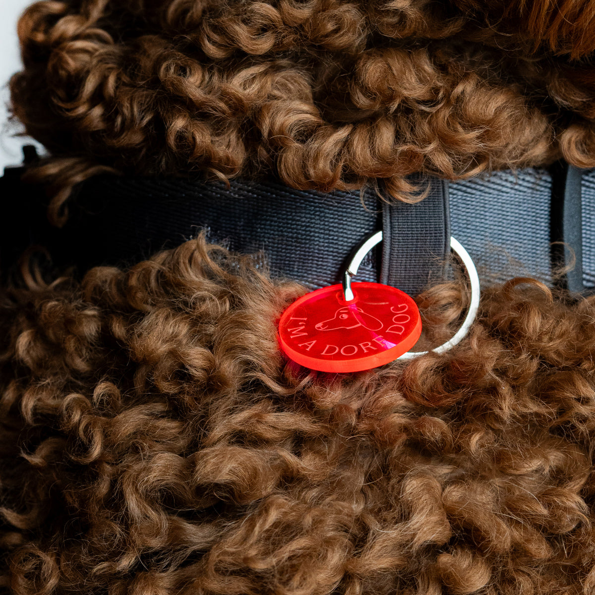 DORF DOGS Anhänger / Key Chain (Form: Kreis)
